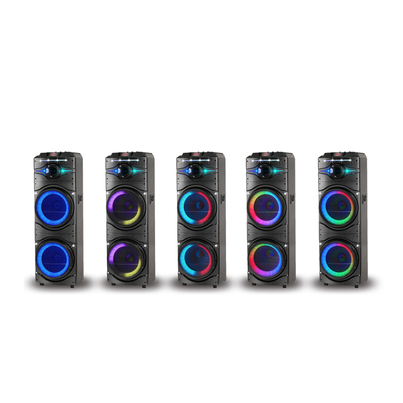 Zore GD-2016 Digital LED Indicator, FM Radio, RGB TWS with Microphone, Dual 12 inch Stereo Bass Wireless Karaoke Speaker - 13