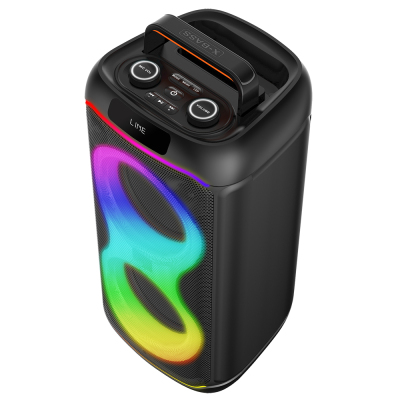 Zore GD-2608 Dijital LED Göstergeli FM Radyolu Mikrofonlu RGB TWS Çift 6.5 inç Stereo Bass Kablosuz Karaoke Hoparlör - 7