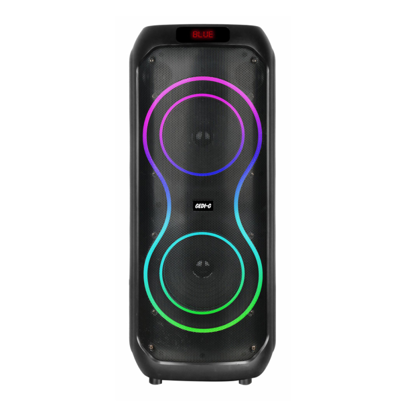 Zore GD-2801 Dijital LED Göstergeli Mikrofonlu RGB TWS Çift 8 inç Stereo Bass Kablosuz Karaoke Hoparlör - 1