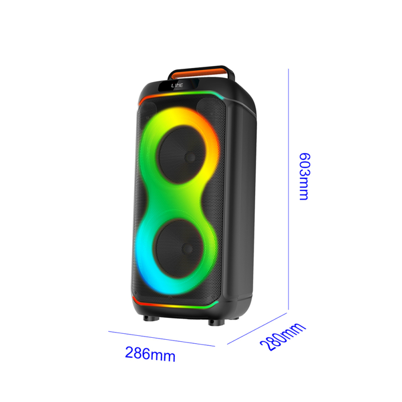 Zore GD-2823 Digital LED Display FM Radio Microphone RGB TWS Dual 8 inch Stereo Bass Wireless Karaoke Speaker - 4