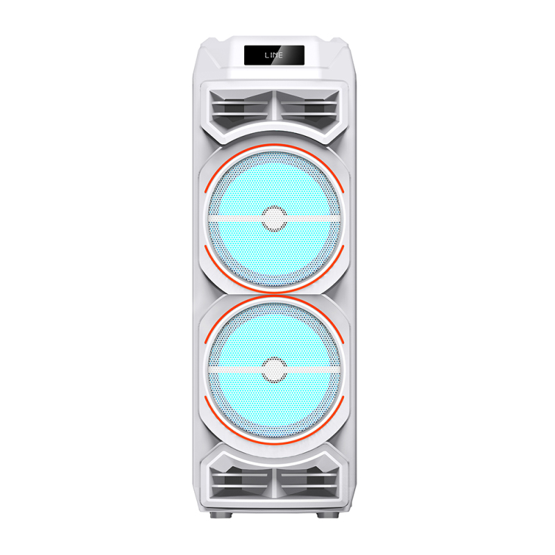 Zore GD-2828 Dijital LED Göstergeli Mikrofonlu RGB TWS Çift 8 inç Stereo Bass Kablosuz Karaoke Hoparlör - 4