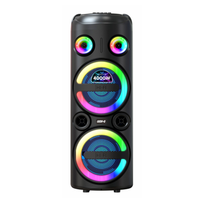 Zore GD-2851 Digital LED Display FM Radio Microphone RGB TWS Dual 8-inch Stereo Bass Wireless Karaoke Speaker - 1