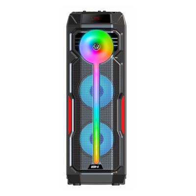 Zore GD-2896 Dijital LED Göstergeli Mikrofonlu RGB TWS Çift 8 inç Stereo Bass Kablosuz Karaoke Hoparlör - 1