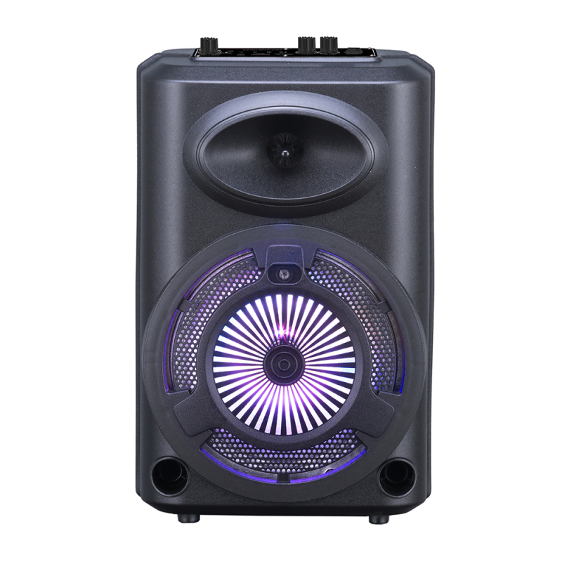 Zore GD-903 Digital LED Indicator, FM Radio, RGB TWS 8 inch Stereo Bass Wireless Karaoke Speaker with Microphone - 1