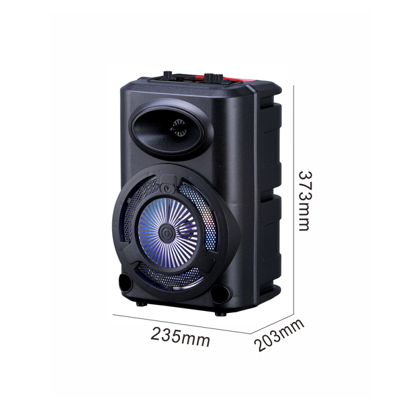 Zore GD-903 Digital LED Indicator, FM Radio, RGB TWS 8 inch Stereo Bass Wireless Karaoke Speaker with Microphone - 5