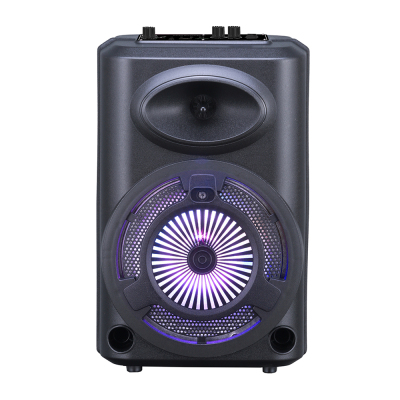 Zore GD-903 Dijital LED Göstergeli FM Radyolu Mikrofonlu RGB TWS 8 inç Stereo Bass Kablosuz Karaoke Hoparlör - 1