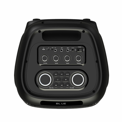 Zore LT-2131 Digital LED Display RGB TWS Dual 8 inch Stereo Bass Wireless Karaoke Speaker with Microphone - 6