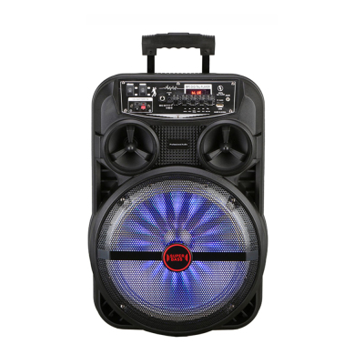 Zore LT-5312BT 12-inch Stereo Wireless Karaoke Speaker with Microphone, RGB Lighting, and Remote Control v5.0 - 1