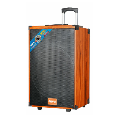 Zore LT-Q15A Digital LED Display FM Radio Dual Microphone Remote Controlled TWS Wireless Karaoke Speaker - 1