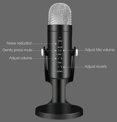 Zore Studio Microphone - 6