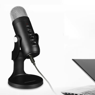 Zore Studio Microphone - 9