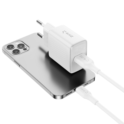 Zore Titan Serisi ZT01 Seyahat Şarj Başlığı - 4