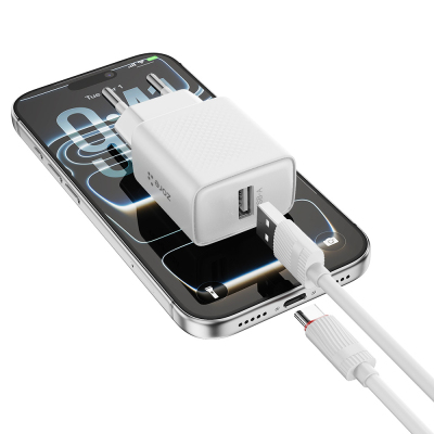 Zore Titan Serisi ZT01 Seyahat Şarj Başlığı - 5