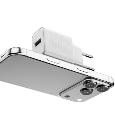 Zore Titan Serisi ZT01 Seyahat Şarj Başlığı - 7