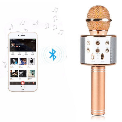Zore WS-858 Karaoke Microphone - 4