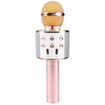 Zore WS-858 Karaoke Mikrofon - 1